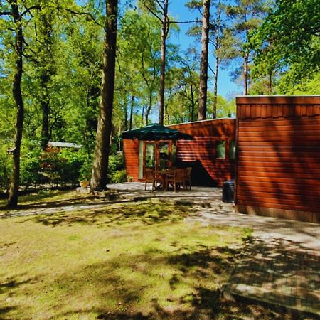 Wooden Nature Chalet - Dennenrhode Doornspijk Villa Dış mekan fotoğraf