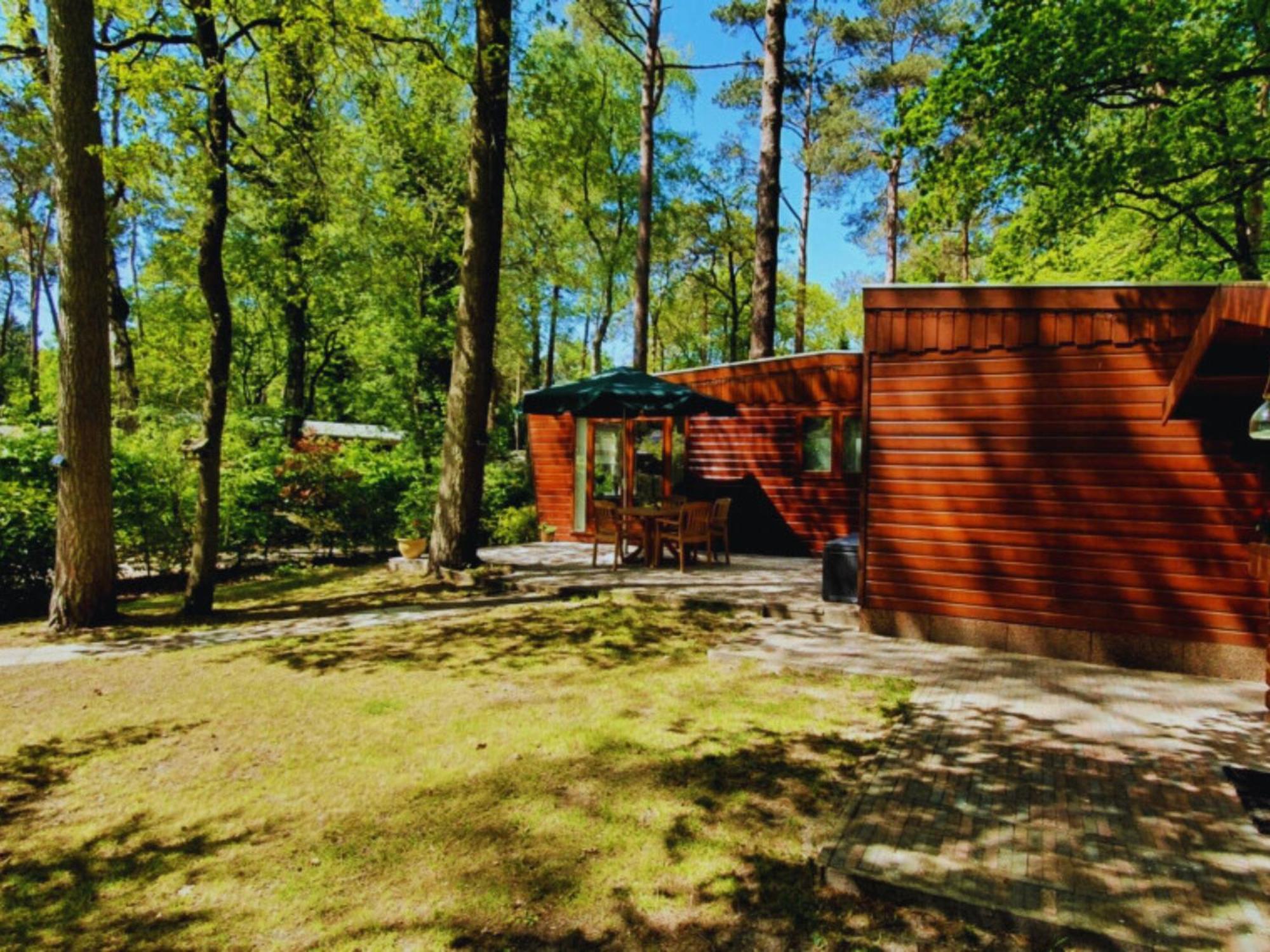 Wooden Nature Chalet - Dennenrhode Doornspijk Villa Dış mekan fotoğraf