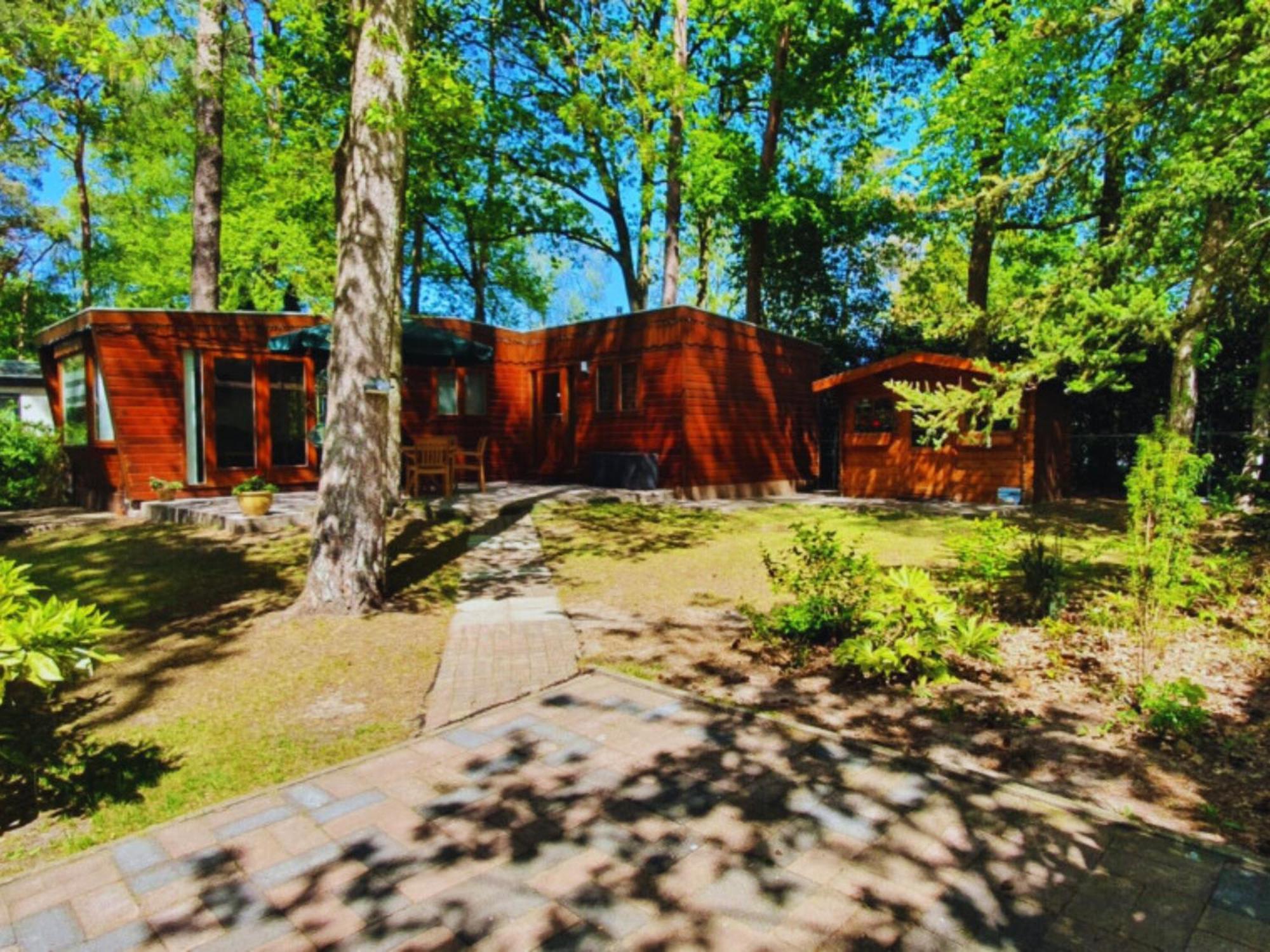 Wooden Nature Chalet - Dennenrhode Doornspijk Villa Dış mekan fotoğraf